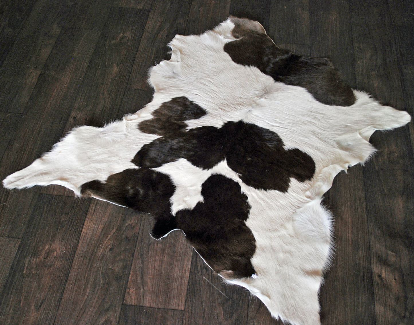 Calf Hide Rug v19