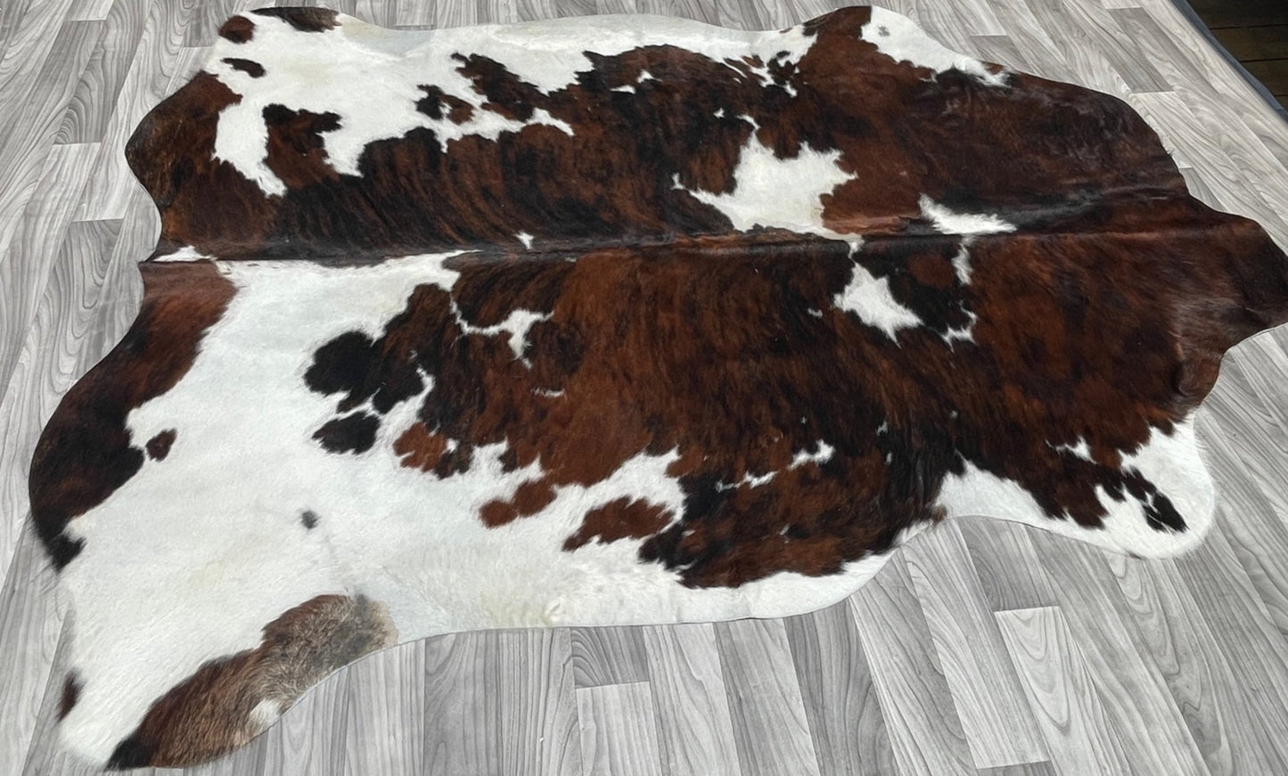 Cowhide Rug v202