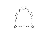 Cowhide Rug v202