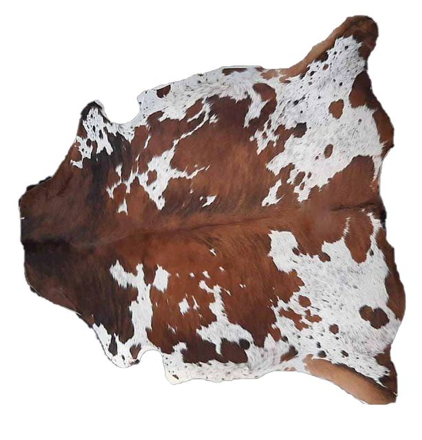 Cowhide Rug v60