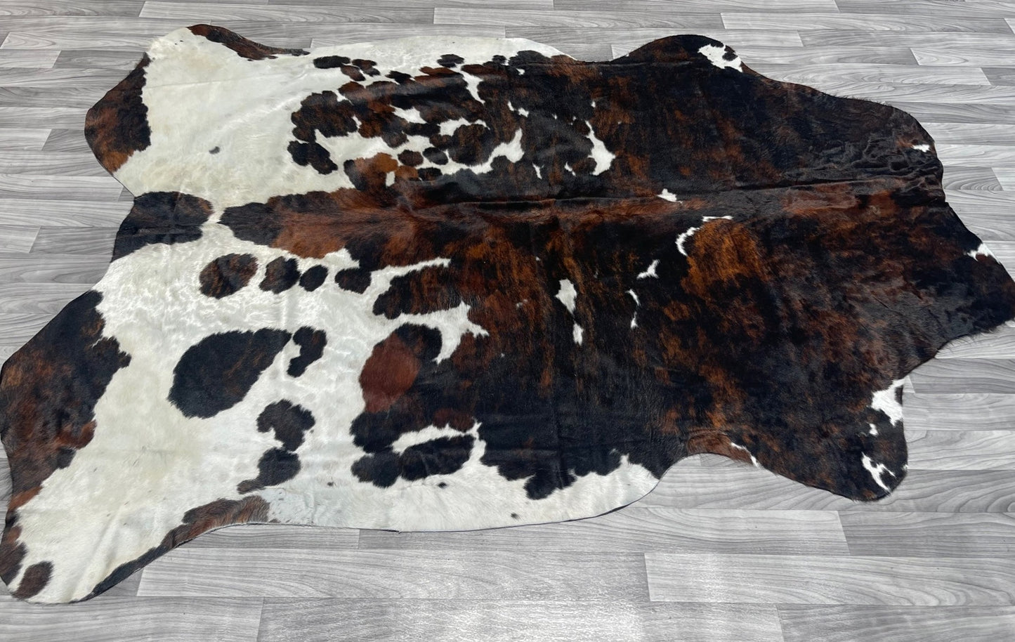 Chocolate mix Tricolor Cowhide Rug v181
