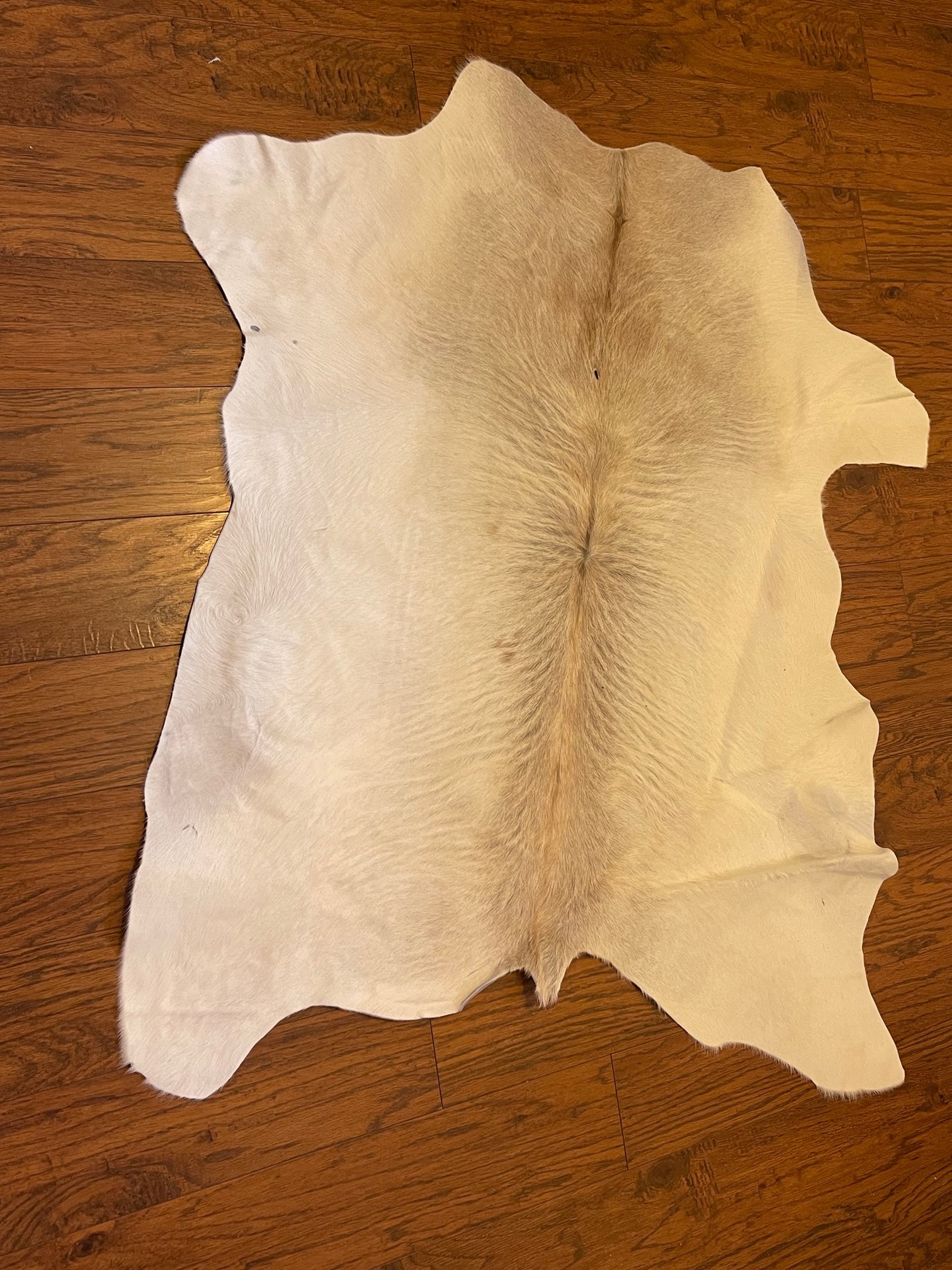 Calf Hide Rug v37 – Texascowhidegallery.com