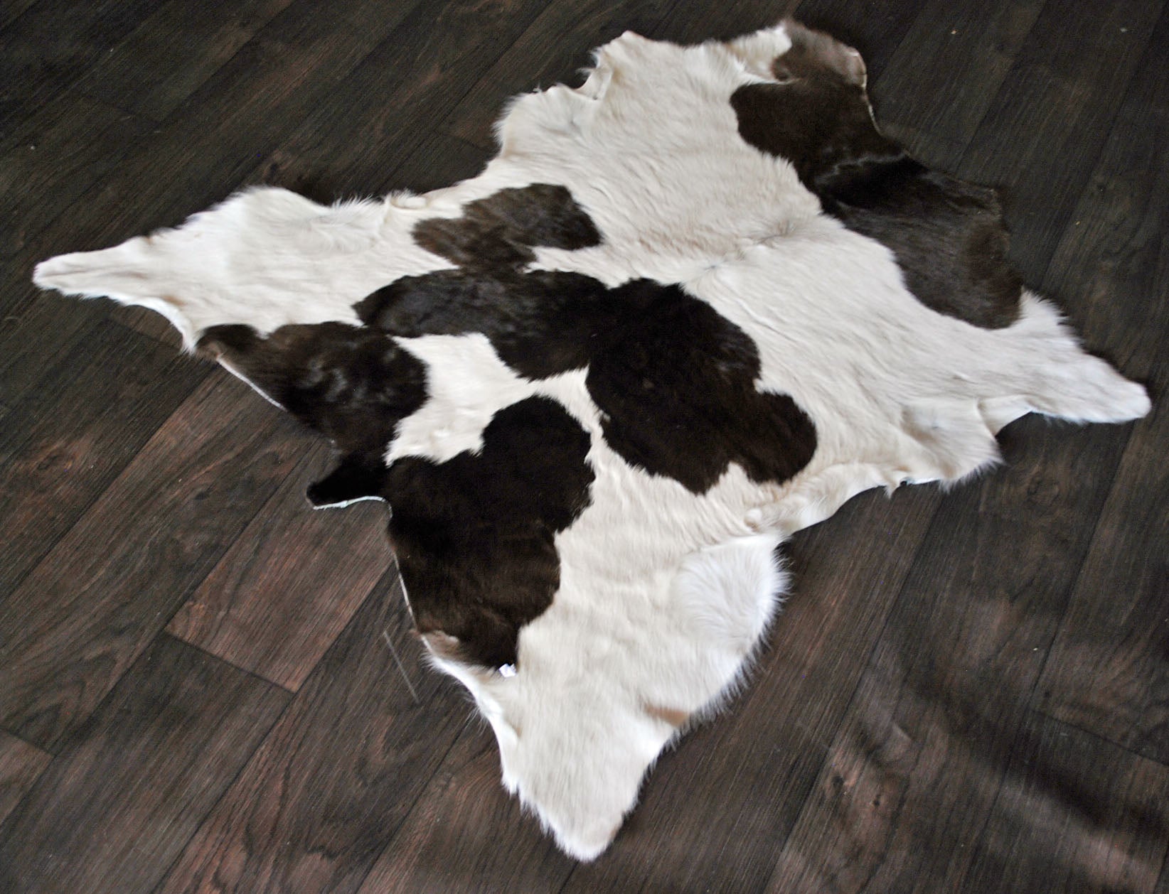 Calf Hide Rug v19 – Texascowhidegallery.com