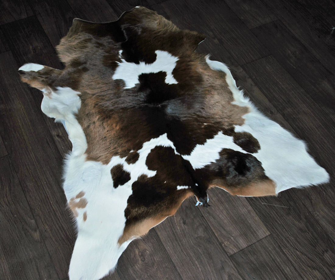 tricolored cowhide rug