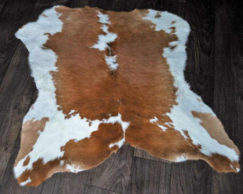 an unprocessed tricolor cowhide rug