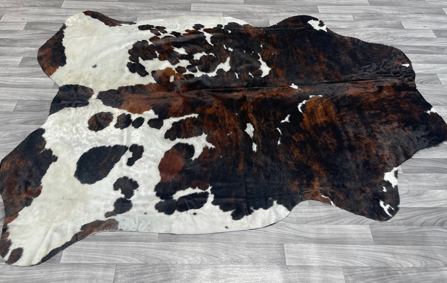 Chocolate  mix Tricolor Cowhide Rug v181